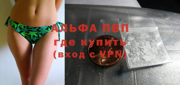 шишки Арсеньев