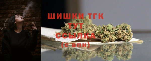шишки Арсеньев