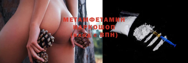 шишки Аркадак