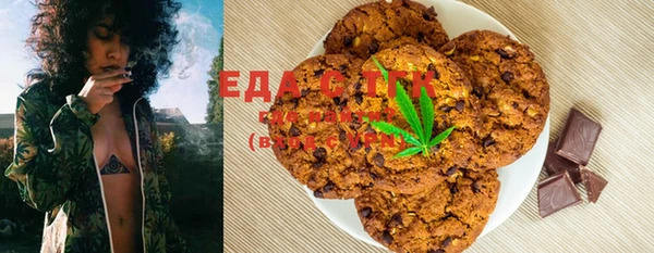 шишки Арсеньев