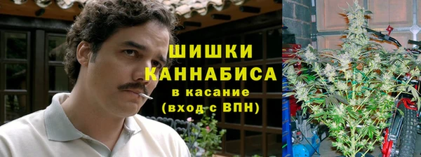 шишки Аркадак