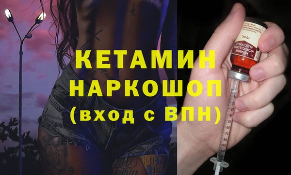 шишки Арсеньев