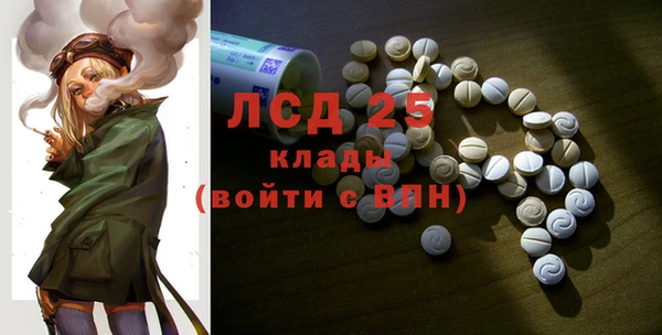шишки Арсеньев