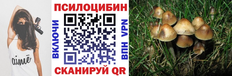 Купить закладки  Болхов  Псилоцибиновые грибы прущие грибы 